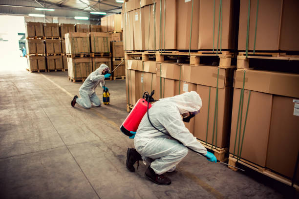 Pest Control Cost in Lighthouse Point, FL