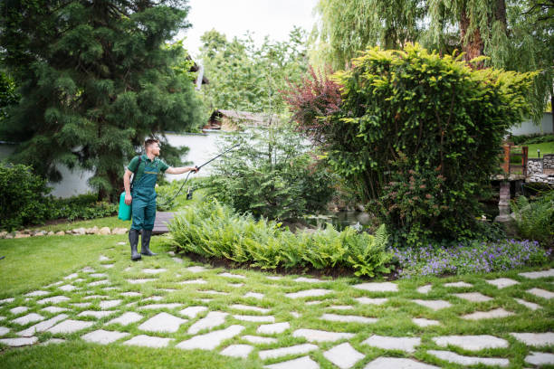 Best Wildlife Control Services  in Lighthouse Point, FL