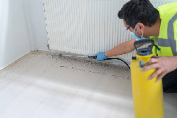 Best Wasp Removal Services  in Lighthouse Point, FL